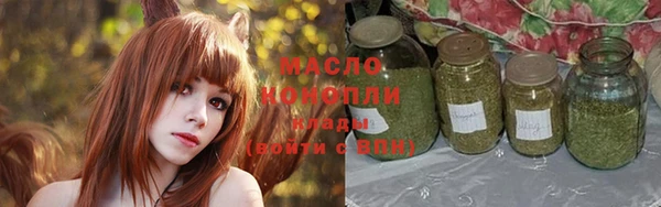гидра Сясьстрой