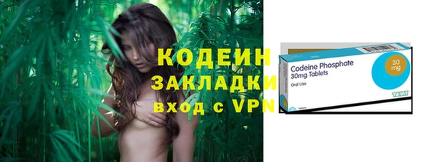 ПСИЛОЦИБИНОВЫЕ ГРИБЫ Тавда