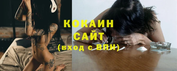 ПСИЛОЦИБИНОВЫЕ ГРИБЫ Тавда