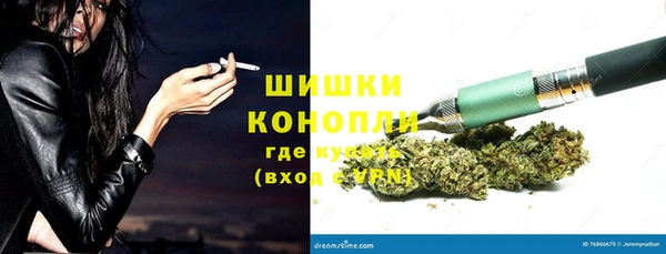 гидра Сясьстрой