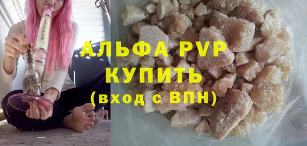 ПСИЛОЦИБИНОВЫЕ ГРИБЫ Тавда