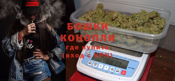 гидра Сясьстрой