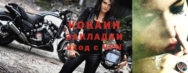 ПСИЛОЦИБИНОВЫЕ ГРИБЫ Тавда