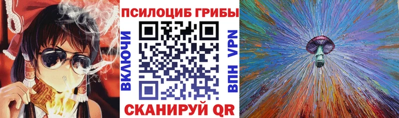 маркетплейс Telegram Теберда Галлюциногенные грибы Psilocybine cubensis